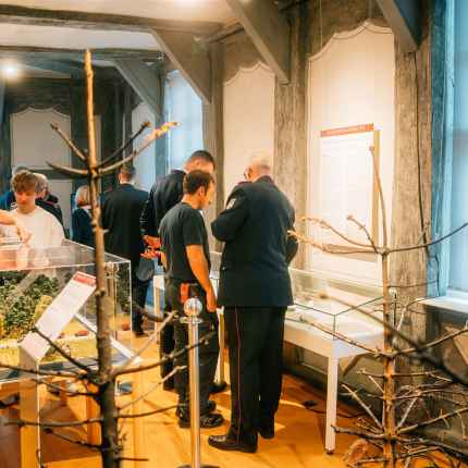 DSC05527-Verbessert-RR